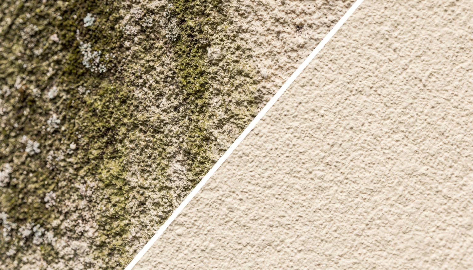 Professional Render Cleaning, material detail